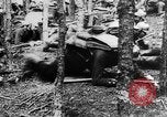 Image Les troupes allemandes rampent sur le sol Belgique, 1917, de la seconde 33 séquences d'archives historiques vidéo 65675048730