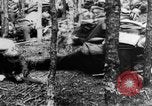 Image Les troupes allemandes rampent sur le sol Belgique, 1917, de la seconde 34 séquences d'archives historiques vidéo 65675048730