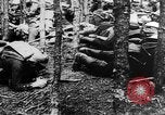 Image Les troupes allemandes rampent sur le sol Belgique, 1917, de la seconde 35 séquences d'archives historiques vidéo 65675048730