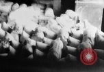 Standbild USA Flaggen United States USA, 1917, aus Sekunde 26 historischem Filmmaterial Videoclip 65675048736