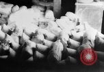Standbild USA Flaggen United States USA, 1917, aus Sekunde 27 historischem Filmmaterial Videoclip 65675048736