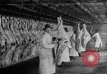 Image of animal skin United States USA, 1917, second 1 stock footage video 65675048741