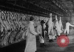 Image of animal skin United States USA, 1917, second 4 stock footage video 65675048741