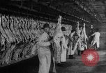 Image of animal skin United States USA, 1917, second 5 stock footage video 65675048741