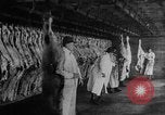 Image of animal skin United States USA, 1917, second 6 stock footage video 65675048741