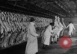 Image of animal skin United States USA, 1917, second 7 stock footage video 65675048741