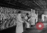 Image of animal skin United States USA, 1917, second 8 stock footage video 65675048741
