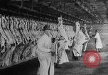 Image of animal skin United States USA, 1917, second 9 stock footage video 65675048741