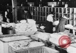 Standbild post Wäscheservice United States USA, 1917, aus Sekunde 17 historischem Filmmaterial Videoclip 65675048744
