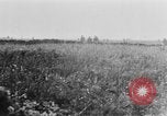Image of United States soldiers France, 1918, second 20 stock footage video 65675048780