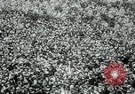 Standbild Ende Ersten Weltkrieg europäische Theater, 1918, aus Sekunde 4 historischem Filmmaterial Videoclip 65675048815