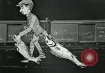 Image of Ford animated cartoon United States USA, 1919, second 24 stock footage video 65675048821