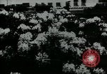 Standbild Schule Gebäude Seattle Washington USA, 1917, aus Sekunde 26 historischem Filmmaterial Videoclip 65675048841