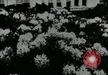 Standbild Schule Gebäude Seattle Washington USA, 1917, aus Sekunde 27 historischem Filmmaterial Videoclip 65675048841
