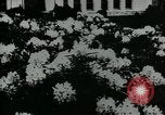 Standbild Schule Gebäude Seattle Washington USA, 1917, aus Sekunde 28 historischem Filmmaterial Videoclip 65675048841