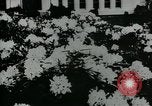 Standbild Schule Gebäude Seattle Washington USA, 1917, aus Sekunde 29 historischem Filmmaterial Videoclip 65675048841
