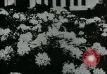 Standbild Schule Gebäude Seattle Washington USA, 1917, aus Sekunde 30 historischem Filmmaterial Videoclip 65675048841