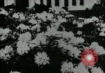 Standbild Schule Gebäude Seattle Washington USA, 1917, aus Sekunde 31 historischem Filmmaterial Videoclip 65675048841