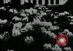 Standbild Schule Gebäude Seattle Washington USA, 1917, aus Sekunde 34 historischem Filmmaterial Videoclip 65675048841