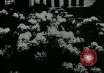 Standbild Schule Gebäude Seattle Washington USA, 1917, aus Sekunde 35 historischem Filmmaterial Videoclip 65675048841