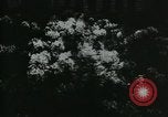 Standbild Schule Gebäude Seattle Washington USA, 1917, aus Sekunde 36 historischem Filmmaterial Videoclip 65675048841
