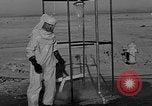 Standbild B-26 Flugzeuge United States USA, 1950, aus Sekunde 56 historischem Filmmaterial Videoclip 65675048847