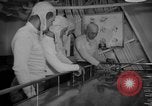 Standbild flight Deck Control Officer Pazifik, 1949, aus Sekunde 45 historischem Filmmaterial Videoclip 65675048882