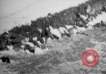 Image of World War 1 Russia, 1915, second 8 stock footage video 65675048904