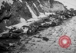 Image of World War 1 Russia, 1915, second 18 stock footage video 65675048904