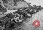 Image of World War 1 Russia, 1915, second 34 stock footage video 65675048904