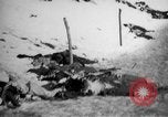 Image of World War 1 Russia, 1915, second 37 stock footage video 65675048904