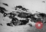 Image of World War 1 Russia, 1915, second 52 stock footage video 65675048904