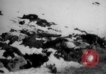 Image of World War 1 Russia, 1915, second 53 stock footage video 65675048904