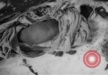 Image of Russian civilian dead Russia, 1915, second 9 stock footage video 65675048906
