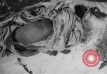 Image of Russian civilian dead Russia, 1915, second 10 stock footage video 65675048906