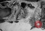 Image of Russian civilian dead Russia, 1915, second 14 stock footage video 65675048906