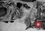 Image of Russian civilian dead Russia, 1915, second 16 stock footage video 65675048906