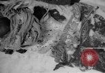 Image of Russian civilian dead Russia, 1915, second 17 stock footage video 65675048906