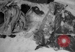 Image of Russian civilian dead Russia, 1915, second 18 stock footage video 65675048906