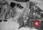 Image of Russian civilian dead Russia, 1915, second 19 stock footage video 65675048906