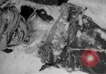 Image of Russian civilian dead Russia, 1915, second 20 stock footage video 65675048906