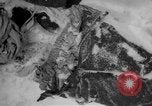 Image of Russian civilian dead Russia, 1915, second 22 stock footage video 65675048906
