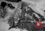 Image of Russian civilian dead Russia, 1915, second 23 stock footage video 65675048906