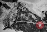 Image of Russian civilian dead Russia, 1915, second 25 stock footage video 65675048906