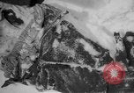 Image of Russian civilian dead Russia, 1915, second 26 stock footage video 65675048906
