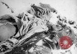 Image of Russian civilian dead Russia, 1915, second 59 stock footage video 65675048906