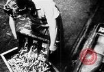 Immagine di Attacco di gas formazione civile United States USA, 1943, secondo 49 filmato di repertorio 65675048916