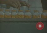 Immagine di Food and Drugs Administration Lab Washington DC USA, 1965, secondo 1 filmato di repertorio 65675048917