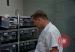 Standbild Affen Washington DC USA, 1965, aus Sekunde 27 historischem Filmmaterial Videoclip 65675048921