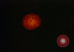 Image of red beam United States USA, 1961, second 3 stock footage video 65675048933